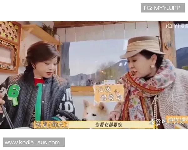 探索独特魅力的独立真人秀节目带来的新鲜体验与思考