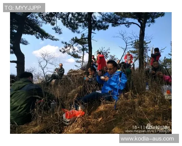 梅雷瑟VS对手的激烈较量揭示了竞技体育的无穷魅力与挑战